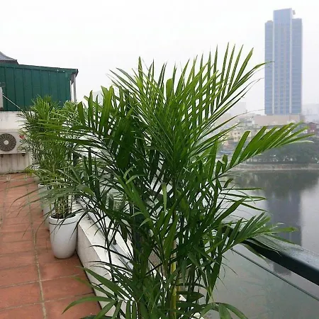 Tài Tâm - Grand Spring Suites-3